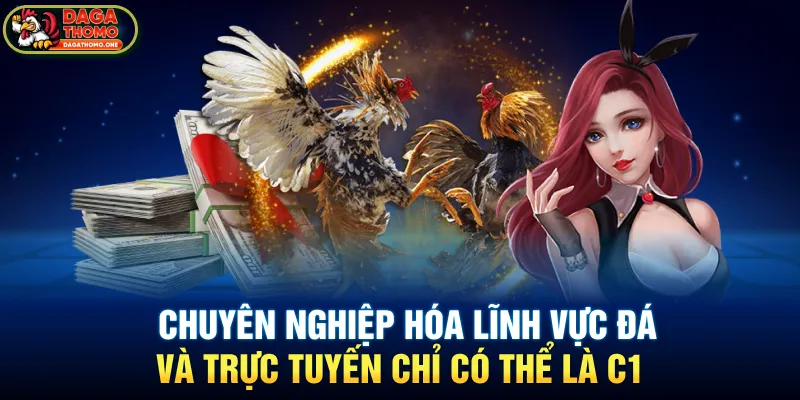 Chuyên nghiệp hóa lĩnh vực đá và trực tuyến chỉ có thể là C1