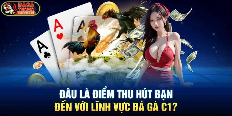 Đâu là điểm thu hút bạn đến với lĩnh vực đá gà C1?