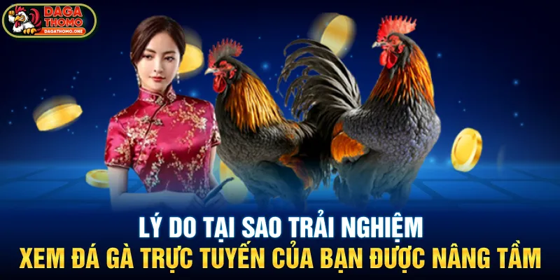Lý do tại sao trải nghiệm xem đá gà trực tuyến của bạn được nâng tầm