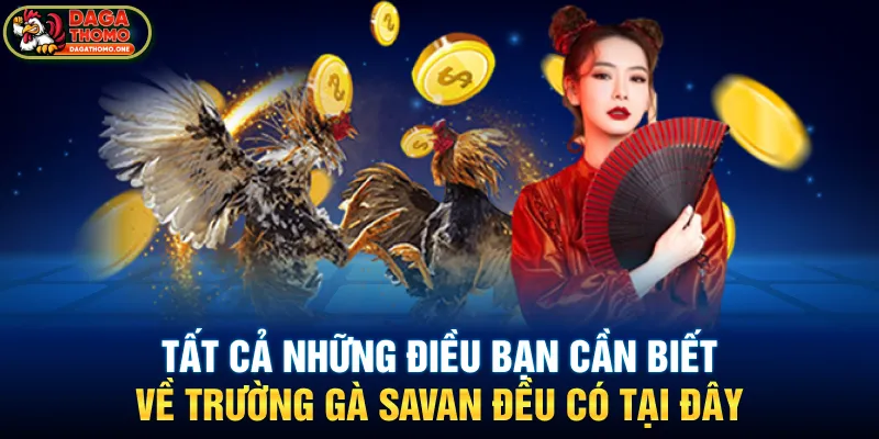 Tất cả những điều bạn cần biết về trường gà Savan đều có tại đây