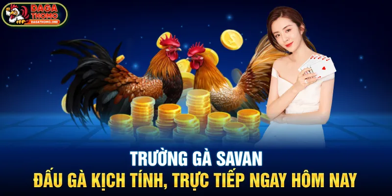 trường gà savan